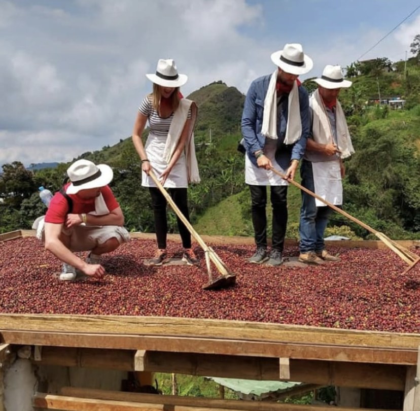 tour finca cafetera quindio